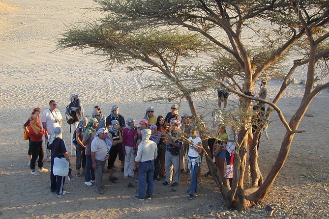 Safari ATV Quad Ride Camel Ride and Dinner With Show HURGHADA - Bedouin Village Exploration