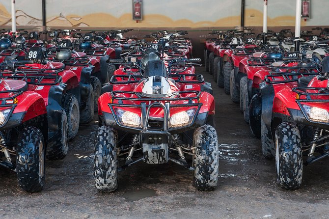Safari ATV Quad Ride Camel Ride and Dinner With Show HURGHADA - Camel Ride Experience