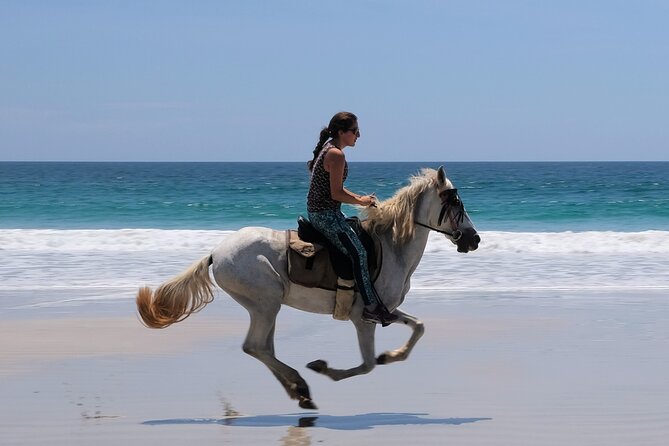 Safari & Barigona Beach on Horseback - Meeting and Pickup