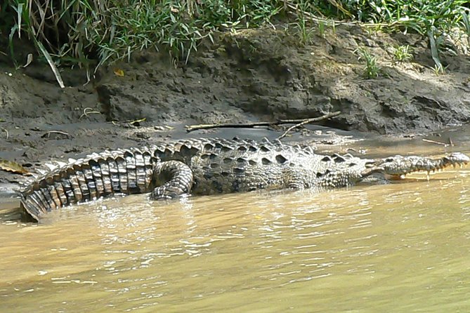Safari Boat on Sarapiqui River With Lunch From San Jose - Private Nature Reserve Attractions