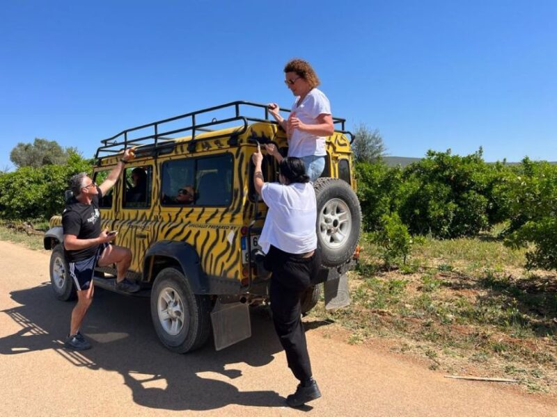 Safari & Boat Tour-Mountains & Dolphins - Price and Duration