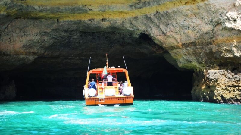 Safari & Boat Tour-Mountains & Dolphins - Languages and Cancellation