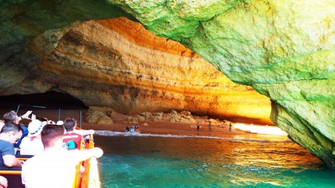 Safari & Boat Tour-Mountains & Dolphins - Important Information
