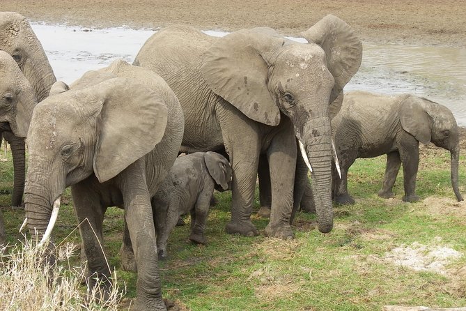 Safari & Culture - Included and Optional Amenities