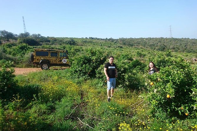 Safari Experience With Traditional Tapas - Culture and Ancient Traditions