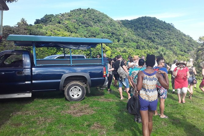 Safari Extravaganza - About Your Stay