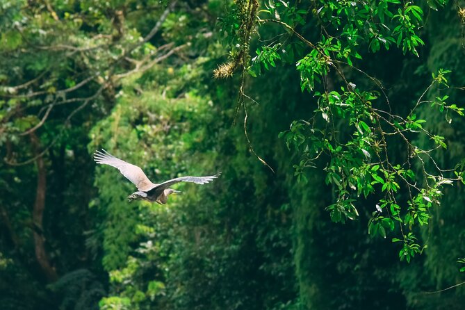 Safari Float Sarapiqui River From San Jose - Inclusions and What to Bring