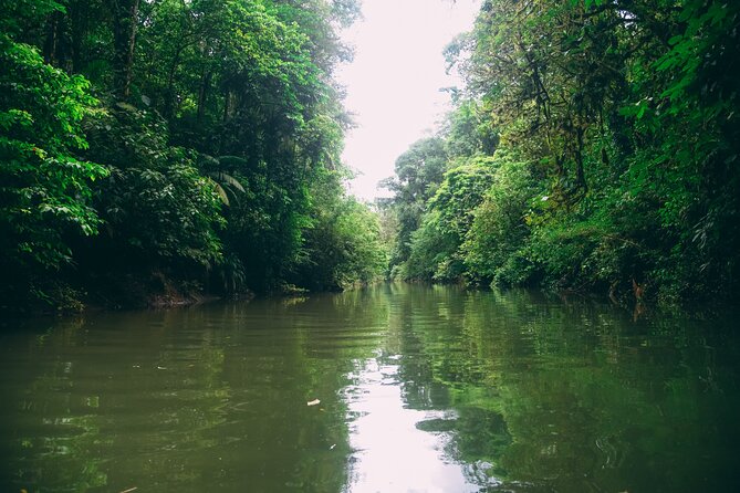 Safari Float Sarapiqui River From San Jose - Exploring the Sarapiqui Rainforest