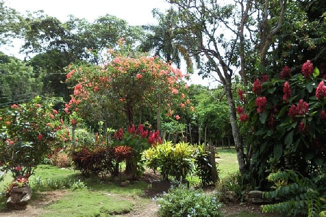 Safari From Punta Cana! - Pickup and Meeting Locations