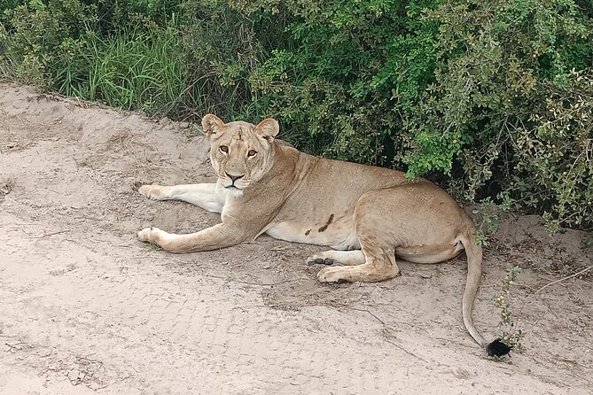 Safari Game Drive in Zambezi National Park - Cancellation Policy