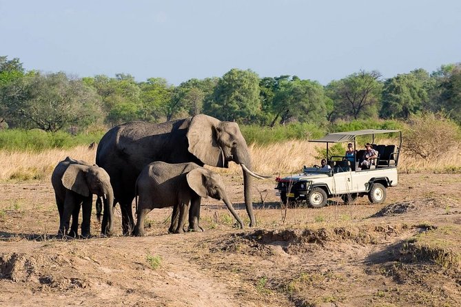 Safari Game Drive in Zambezi National Park With Hotel Pickup - Pickup and Drop-off Details