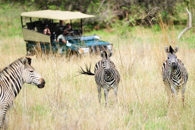 Safari Game Drive in Zambezi National Park With Hotel Pickup - Cancellation Policy