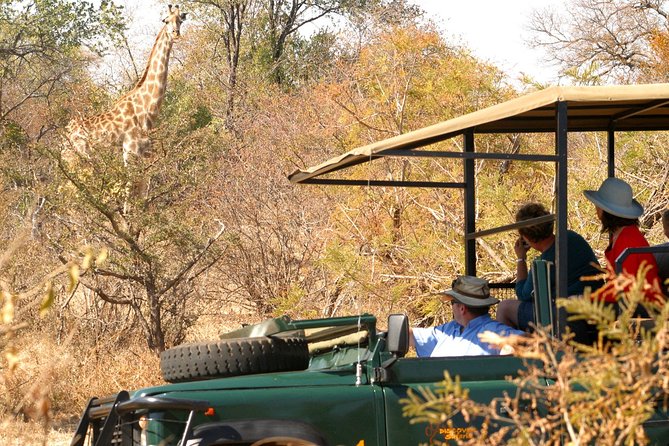 Safari Game Drive in Zambezi National Park With Hotel Pickup - Zambezi National Park Highlights