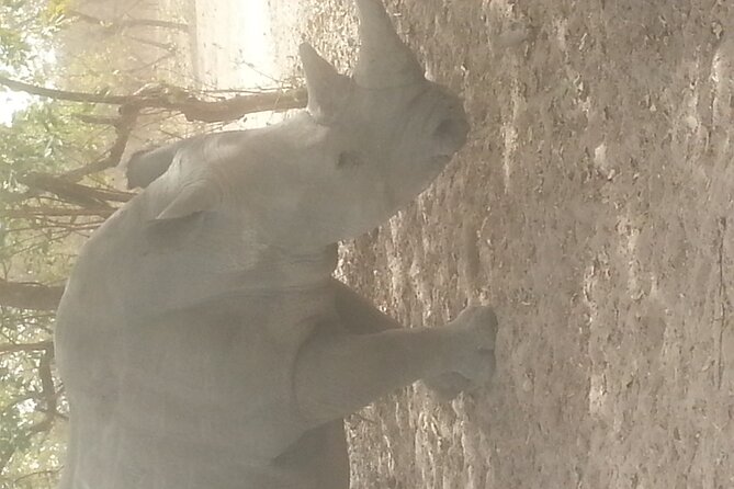 Safari Game Park - Inclusions and Transportation