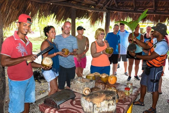 Safari Half Day Experience - Ratings and Reviews