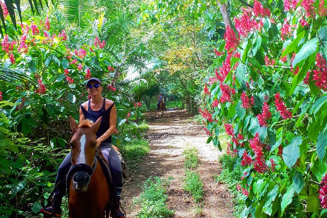 Safari Horse Riding Tour - Meeting Point and Schedule