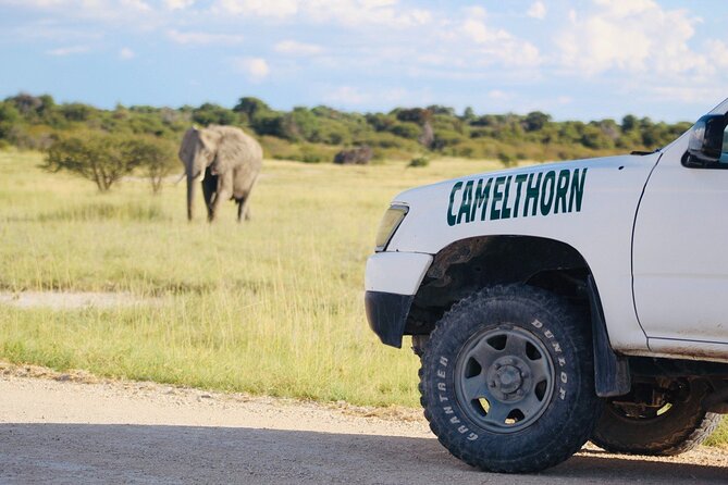 Safari in Etosha National Park With Professional Tour Guides Born in Etosha. - Meeting Point Information