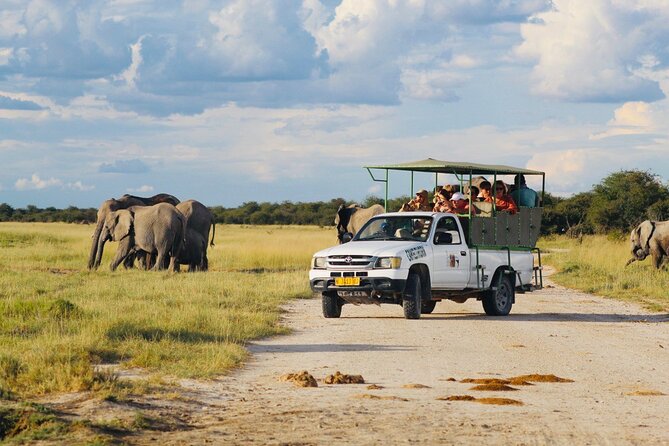 Safari in Etosha National Park With Professional Tour Guides Born in Etosha. - Local Guide Expertise