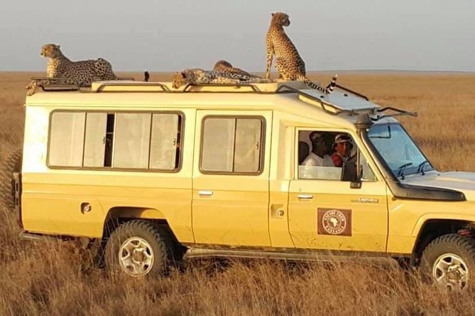 Safari in Tanzania 5 Days: Manyara, Ngorongoro, Serengeti - Tour Experience