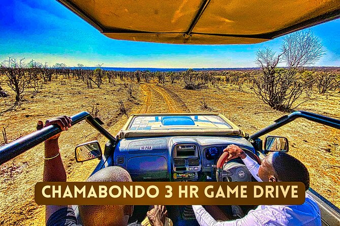 Safari in Victoria Falls and Zambezi National Park - Accessibility Considerations