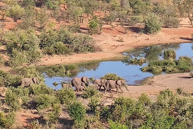 Safari in Victoria Falls and Zambezi National Park - Traveler Reviews and Feedback
