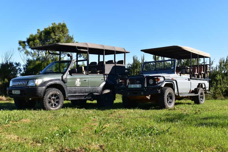 Safari Into Schotia Full Day Tour - Key Points