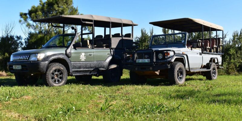 Safari Into Schotia Full Day Tour - Cancellation and Refund Policy