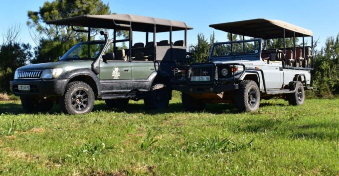 Safari Into Schotia Full Day Tour - Frequently Asked Questions