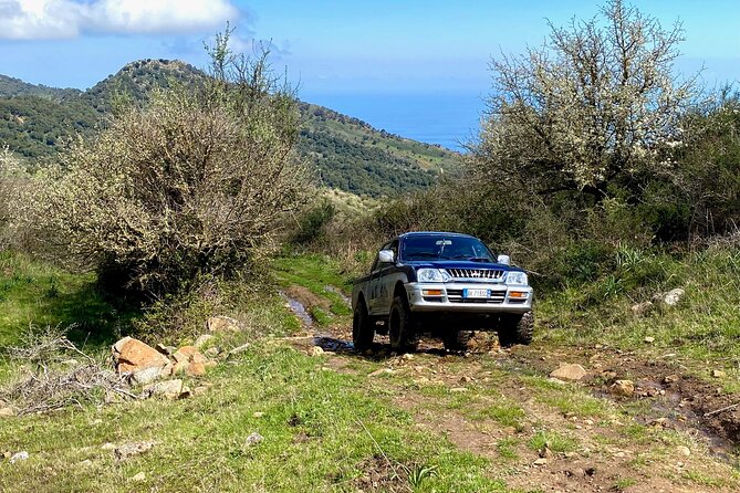 Safari Jeep Wild Adventure - Schedule and Accessibility