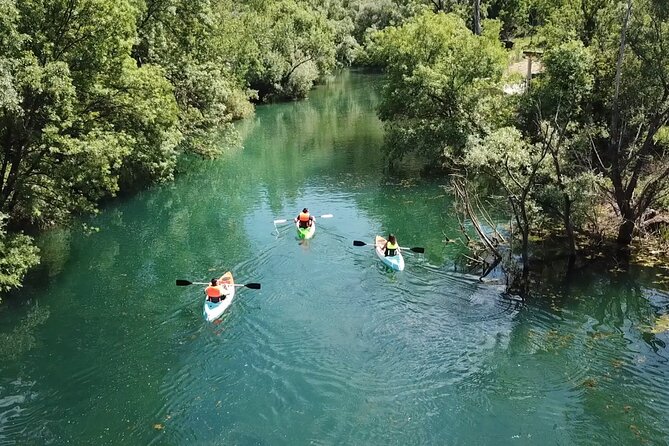Safari Kayak Adventure W BBQ & Beer - Meeting and Transportation