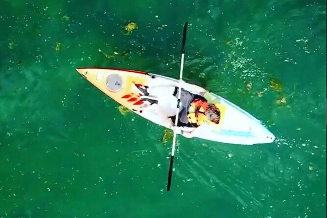 Safari Kayak Adventure W BBQ & Beer - Booking and Confirmation