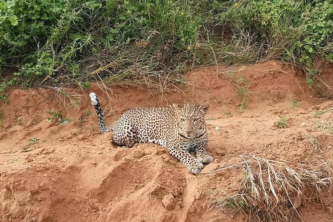Safari Kenya With Patrick - Experience Suitability