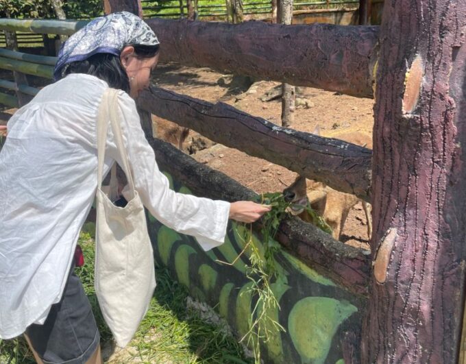 Safari Lagoi & Eco Farm Bintan - Frequently Asked Questions
