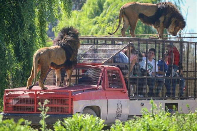 Safari Park Full Day From Santiago - Inclusions