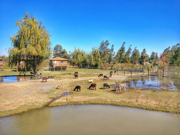 Safari Park Full Day From Santiago - Pickup Information