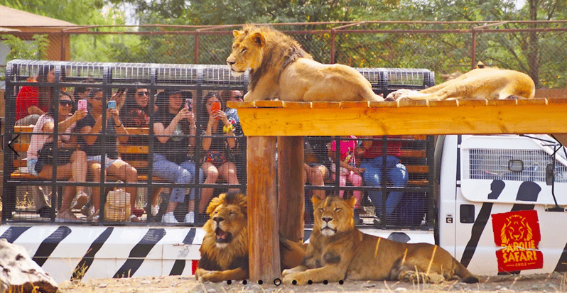 Safari Park Rancagua - Transportation and Pickup