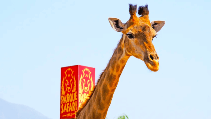 Safari Park Rancagua - Frequently Asked Questions