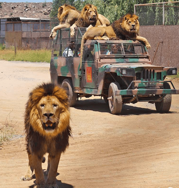Safari Park Rancagua - Location and Transportation