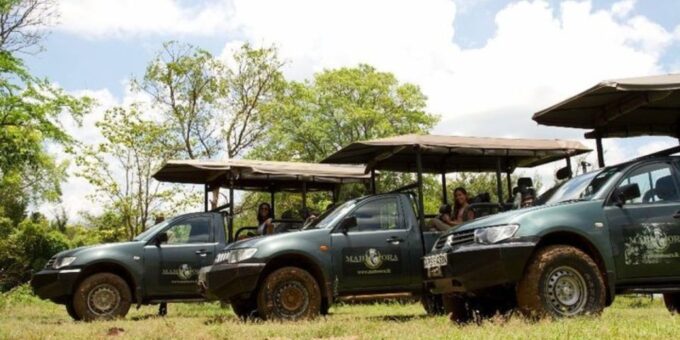 Safari Serenity: Exclusive Wilpattu National Park Adventure - Booking and Payment Options
