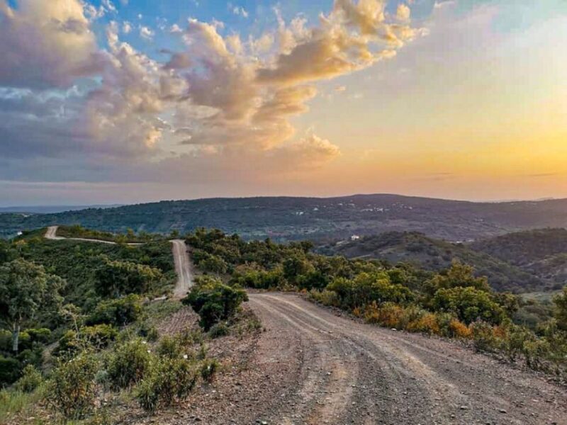 Safari Silves & Monchique - Itinerary Highlights