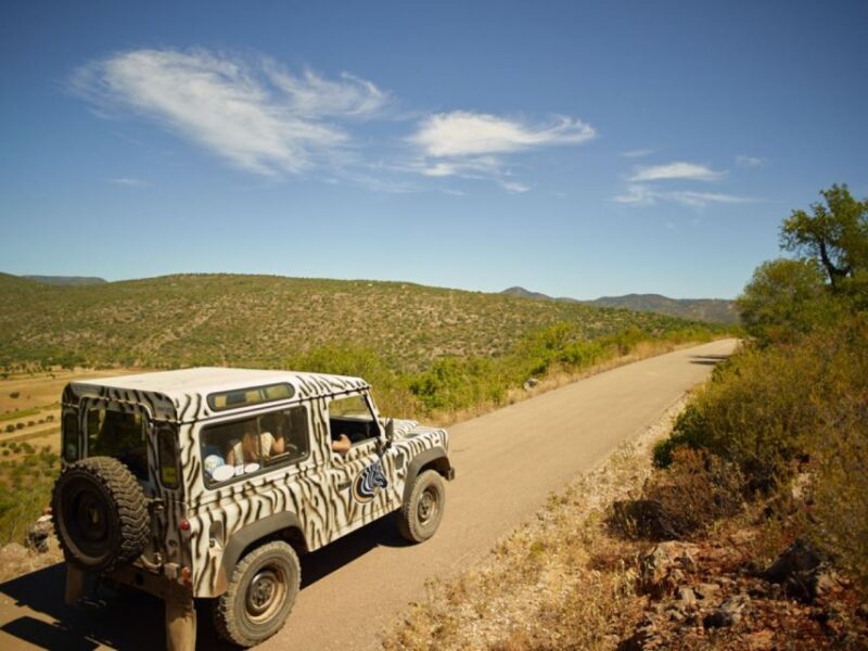 Safari Silves & Monchique - Booking and Availability