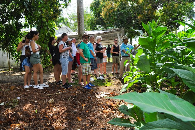 Safari Supreme Full Day Outdoor Adventure Punta Cana - Customer Feedback and Experiences
