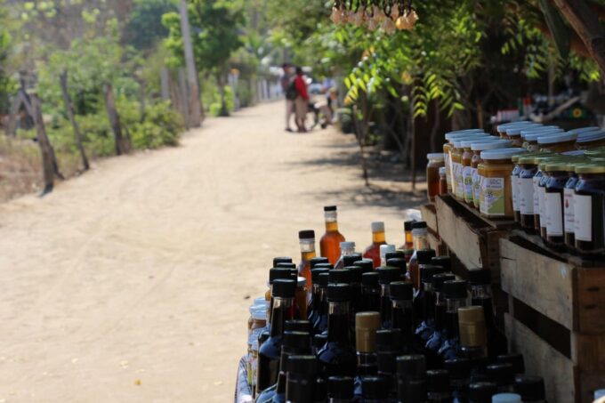SAFARI THROUGH THE MANGROVES IN VENTANILLA OAXACA - Meeting Points
