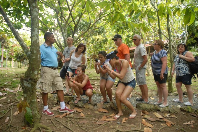Safari Tour From Punta Cana - Logistics and Transportation