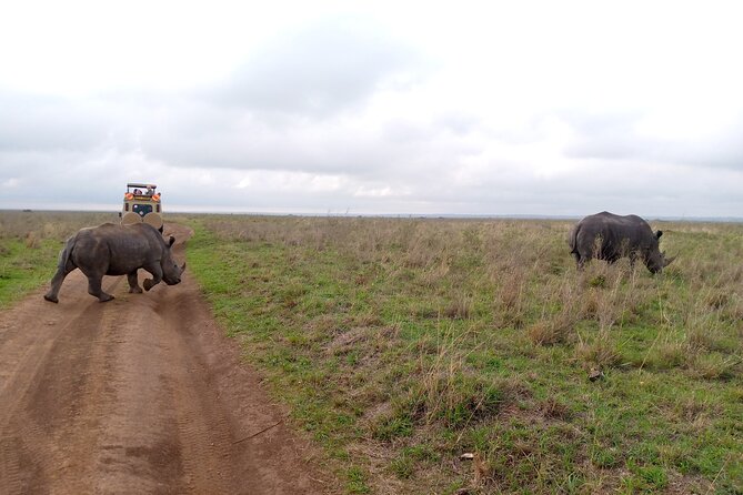 Safari Tour : Nairobi National Park - Pricing and Payment Options