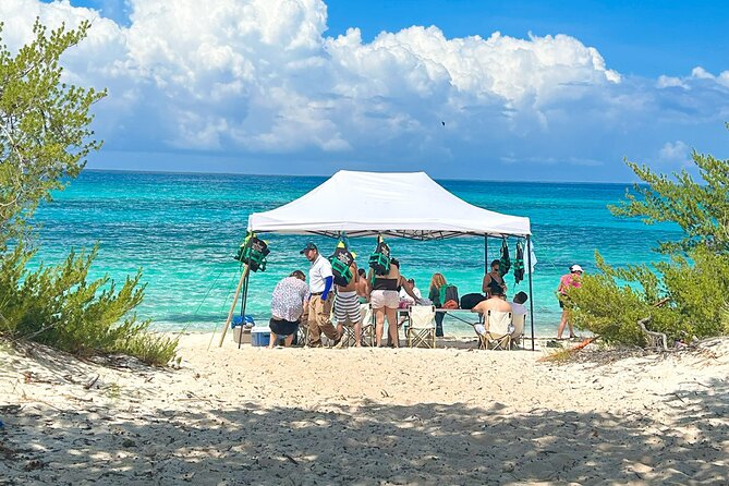 Safari Tour – Paradisiacal Excursion to Bahia De Las Águilas - About Your Stay