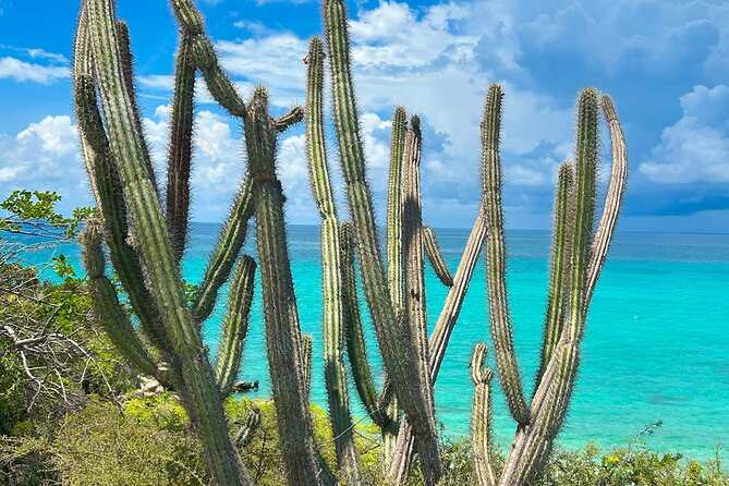 Safari Tour – Paradisiacal Excursion to Bahia De Las Águilas - Standard Tour Option