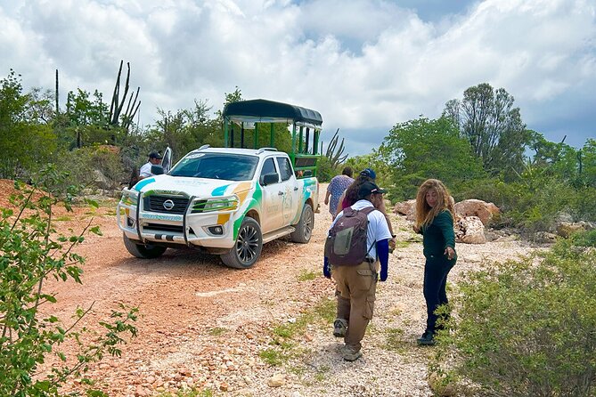 Safari Tour – Paradisiacal Excursion to Bahia De Las Águilas - Private Tour Experience