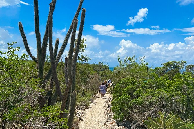 Safari Tour – Paradisiacal Excursion to Bahia De Las Águilas - Booking Flexibility