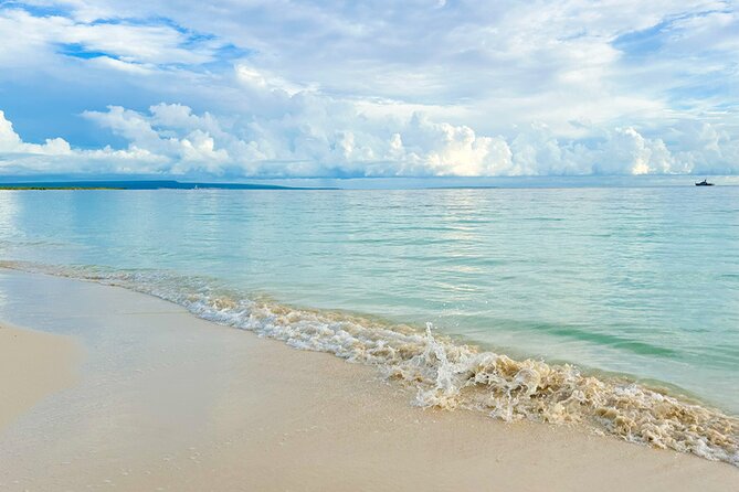 Safari Tour – Paradisiacal Excursion to Bahia De Las Águilas - Additional Considerations